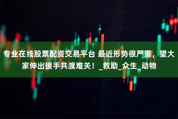专业在线股票配资交易平台 最近形势很严重，望大家伸出援手共渡难关！_救助_众生_动物