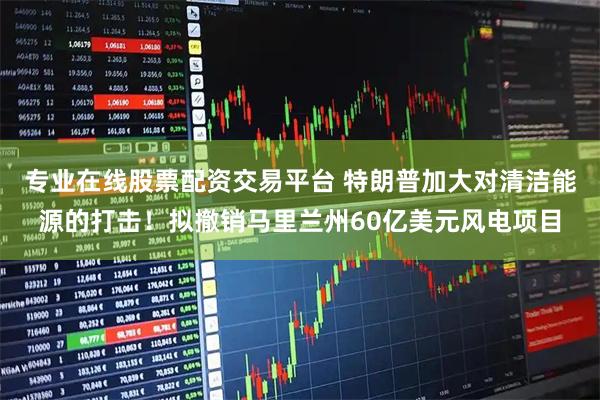 专业在线股票配资交易平台 特朗普加大对清洁能源的打击！拟撤销马里兰州60亿美元风电项目