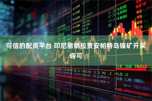 可信的配资平台 印尼撤销拉贾安帕特岛镍矿开采许可