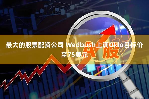 最大的股票配资公司 Wedbush上调Oklo目标价至75美元