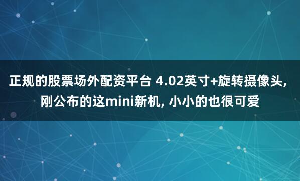 正规的股票场外配资平台 4.02英寸+旋转摄像头, 刚公布的这mini新机, 小小的也很可爱