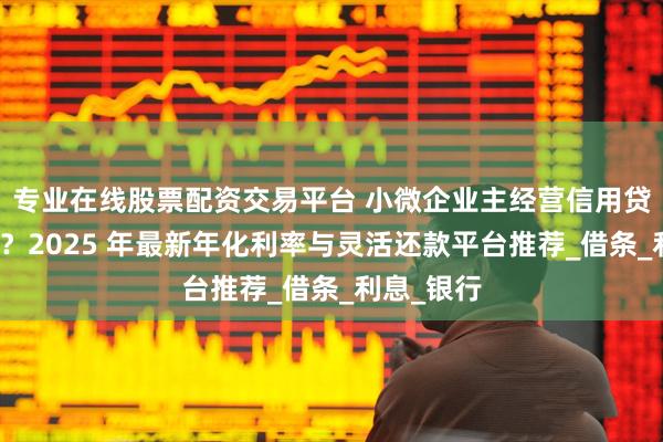 专业在线股票配资交易平台 小微企业主经营信用贷款选哪个？2025 年最新年化利率与灵活还款平台推荐_借条_利息_银行