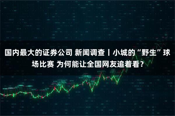 国内最大的证券公司 新闻调查丨小城的“野生”球场比赛 为何能让全国网友追着看？