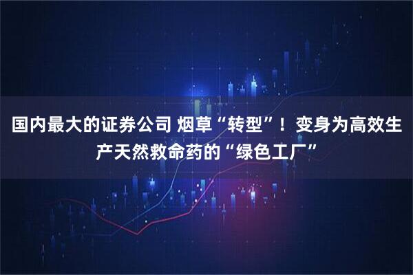 国内最大的证券公司 烟草“转型”！变身为高效生产天然救命药的“绿色工厂”
